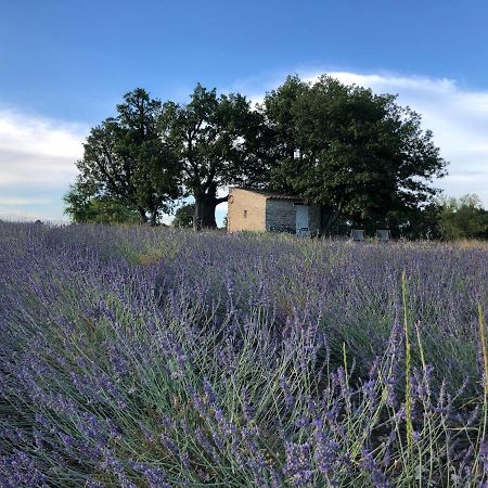 セーニョン Cabanon Du Bergerヴィラ エクステリア 写真