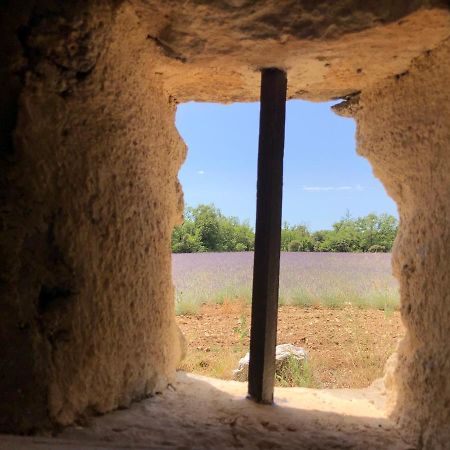 セーニョン Cabanon Du Bergerヴィラ エクステリア 写真