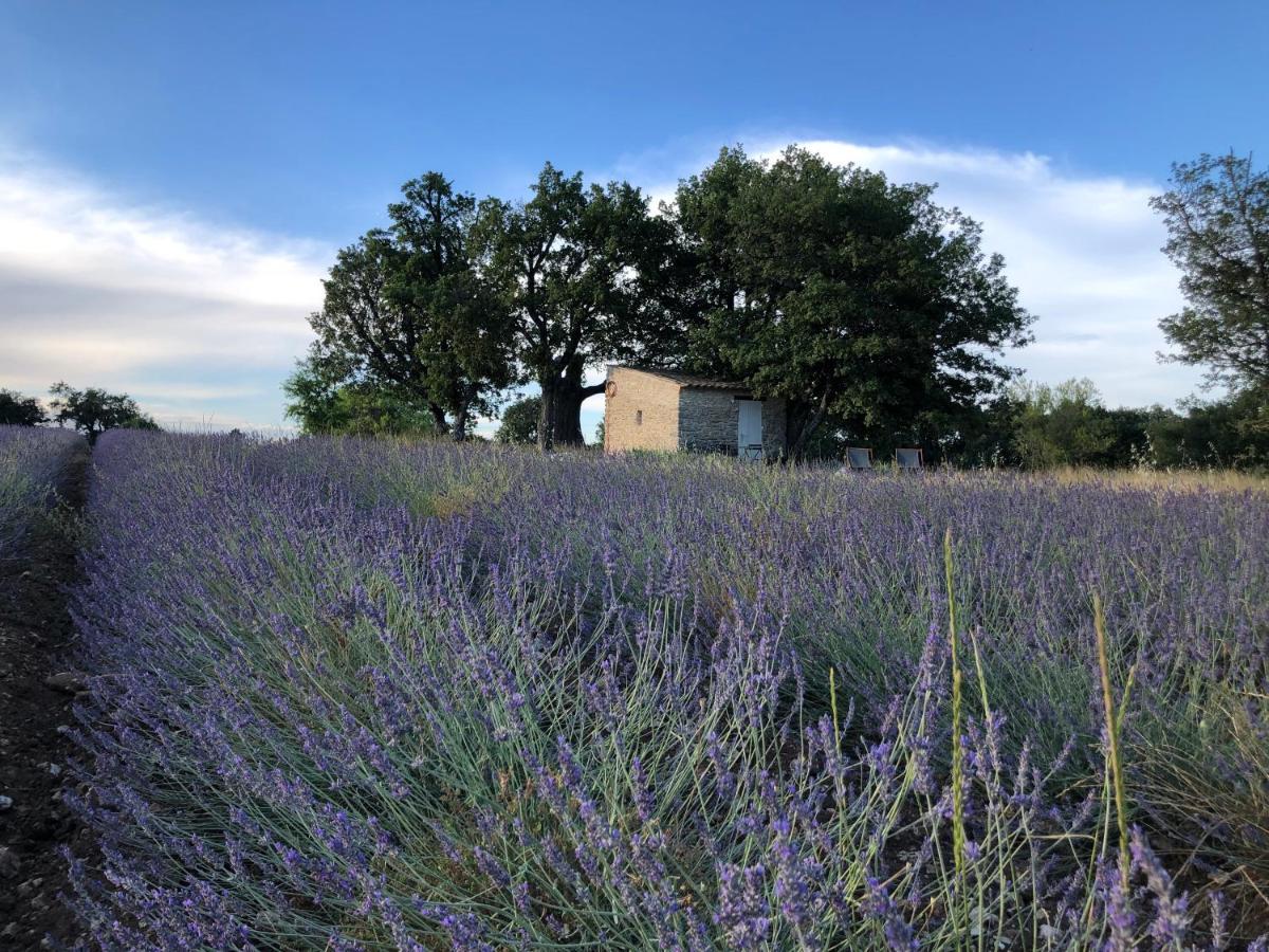 セーニョン Cabanon Du Bergerヴィラ エクステリア 写真